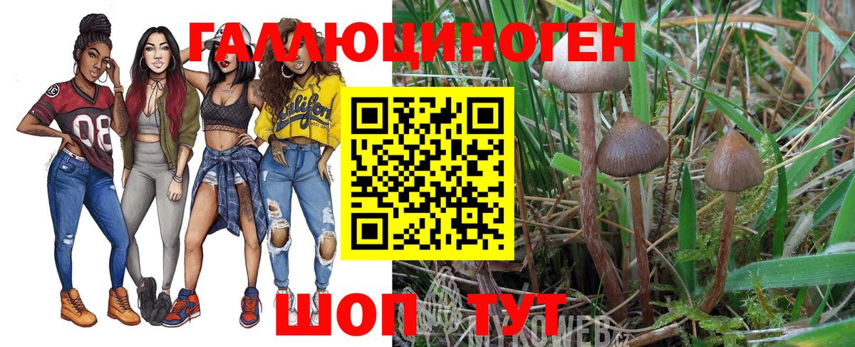 Псилоцибиновые грибы Psilocybe  Вход с VPN  Ликино-Дулёво  Псилоцибиновые грибы Psilocybine cubensis 